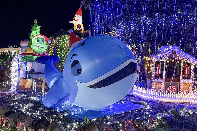 A Christmas lights display on Westminster Court in Kawungan featuring a large inflatable whale.